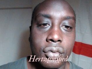 Hertzpmiped