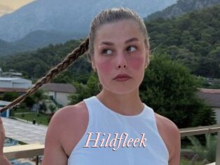 Hildfleek