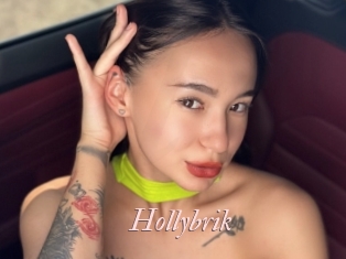 Hollybrik