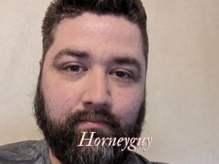 Horneyguy