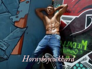 Hornyboycockhard