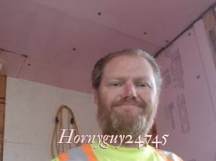 Hornyguy24745