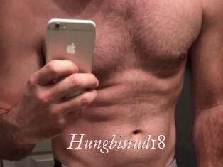 Hungbistud18