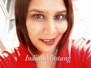 IndianMustang