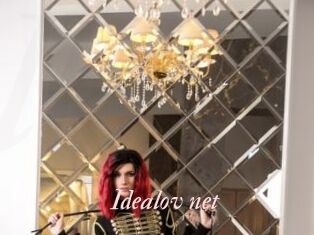 Idealov_net