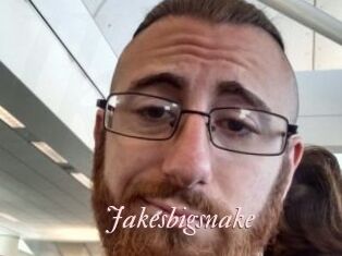 Jakesbigsnake