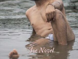 Joe_Novel Leukelol