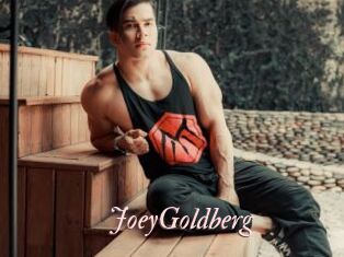 JoeyGoldberg