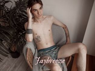 Jaybreeze