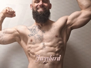 Jayybird