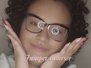 Juniper_camrose