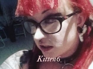 Kitten6