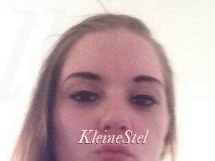 KleineStel