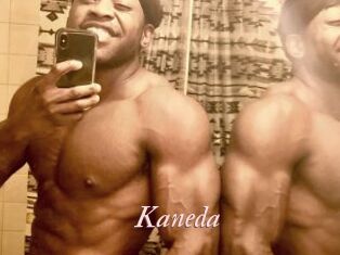 kaneda Leukelol