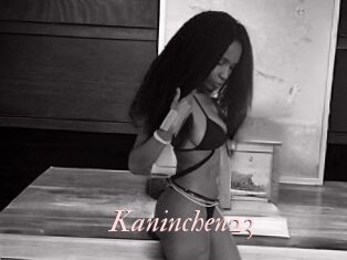 Kaninchen23