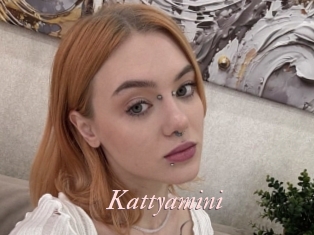 Kattyamini