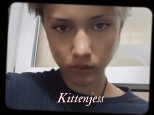 Kittenjess