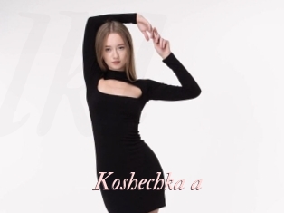 Koshechka_a