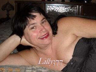 Lilly377