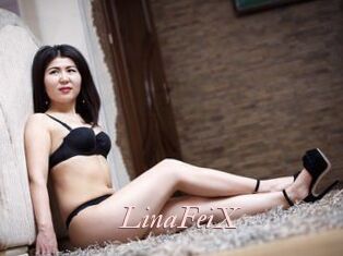 LinaFeiX