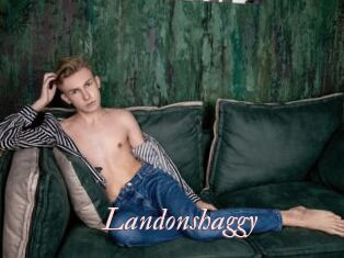 landonshaggy Leukelol