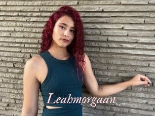 Leahmorgaan