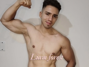 Liam_forest