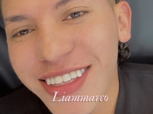 liammarco Leukelol