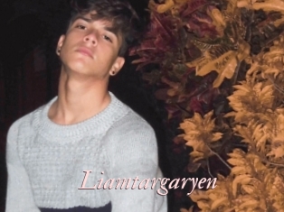 Liamtargaryen