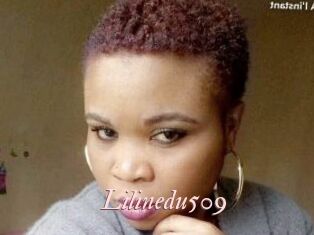 Lilinedu509