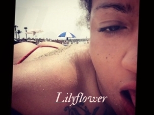 Lilyflower