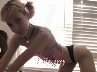 Lilyxgrey