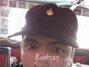 Link323