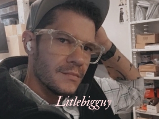 Litlebigguy