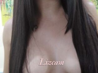 Lizcam