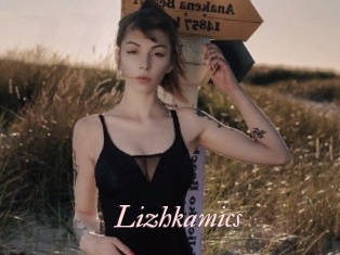 Lizhkamics
