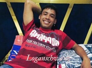 Loganschwarz
