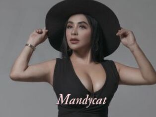 Mandycat