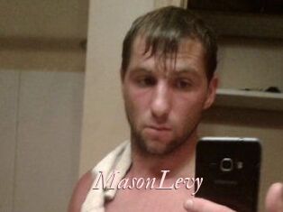 Mason_Levy
