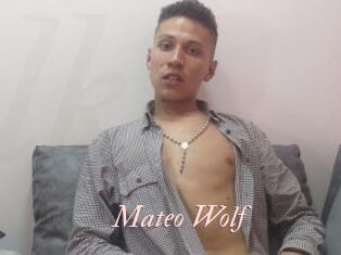 Mateo_Wolf