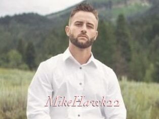 MikeHawk22