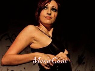 Moxie_Cane