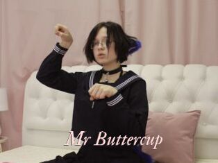 Mr_Buttercup