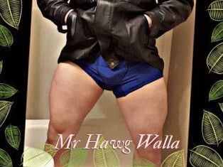 Mr_Hawg_Walla
