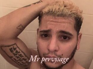 Mr_pervysage Leukelol
