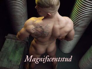 Magnificentstud