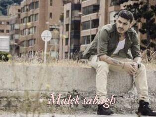 Malek_sabagh