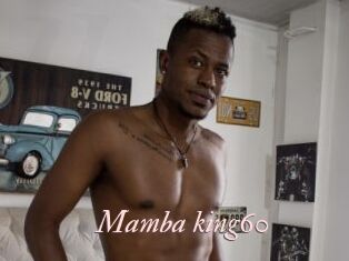 Mamba_king60