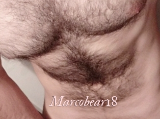 Marcobear18