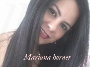 Mariana_hornet